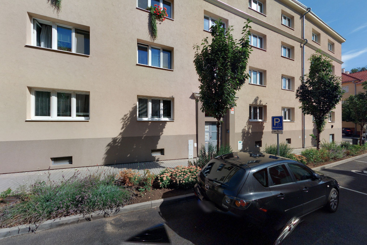 Malířství David Vodák