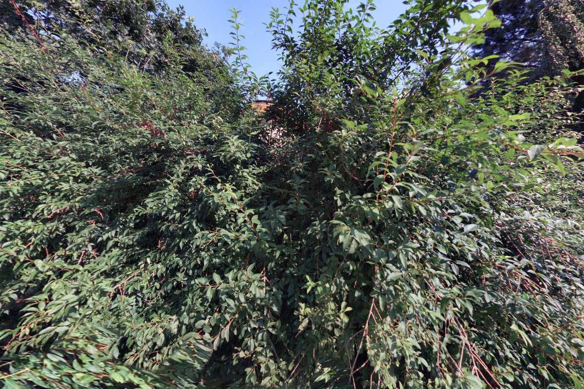 Rodinné centrum Na cestě