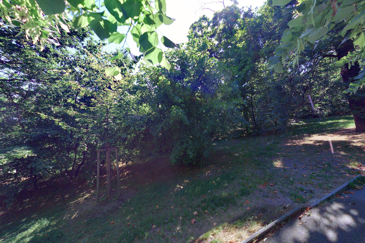 Nadace Umění pro zdraví