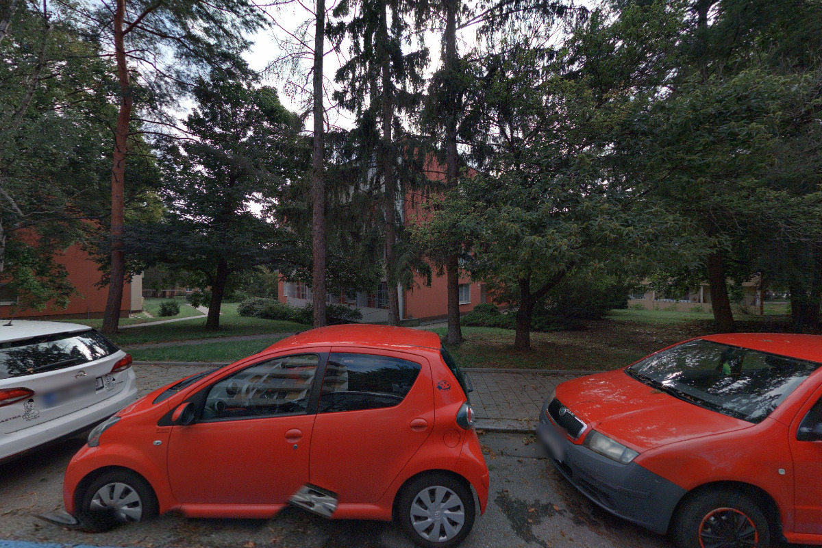 Mgr. Martin Hofman - Flow Effect