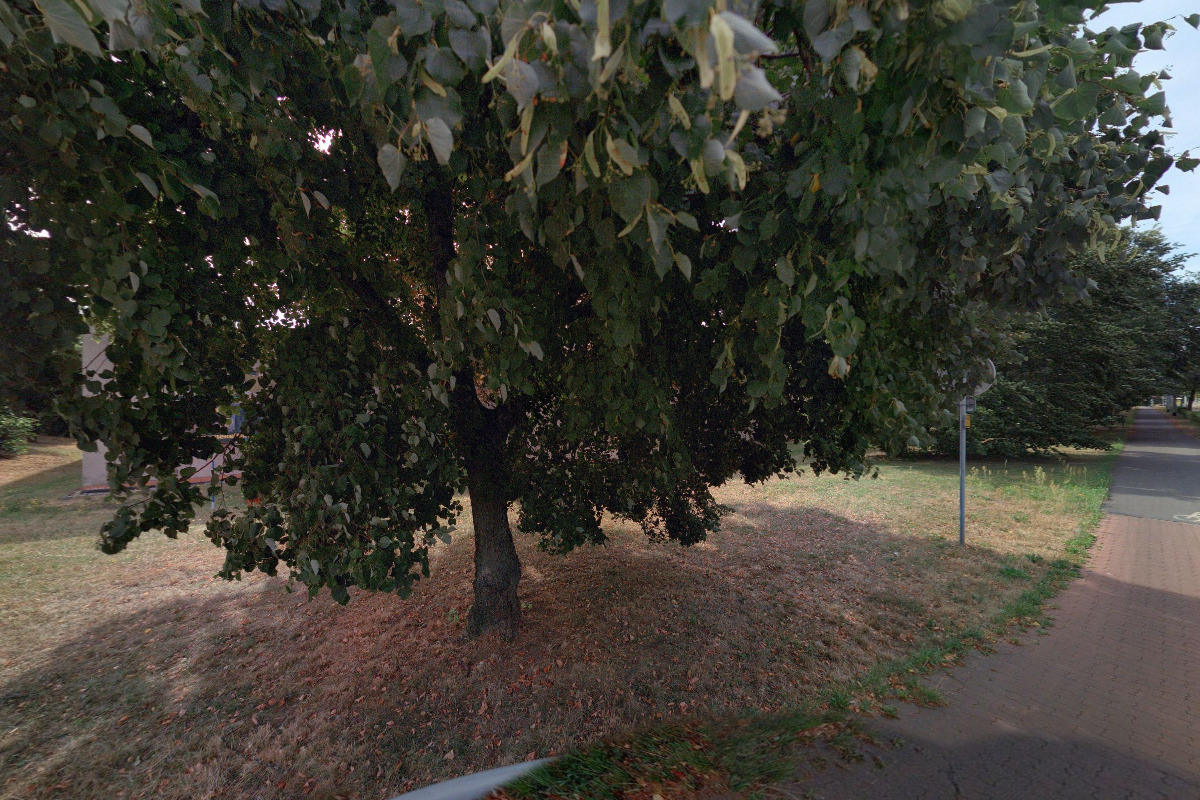 Garáže Valčíkova