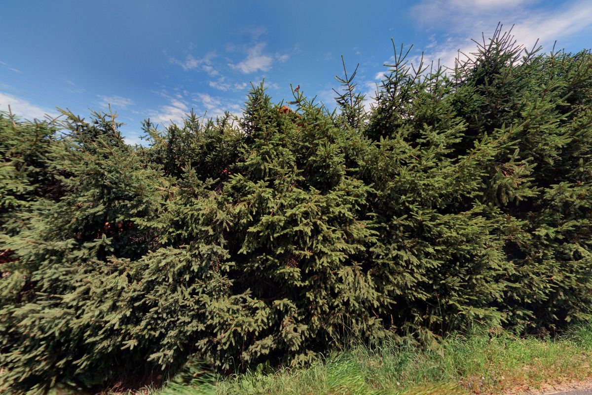 Lukáš Ježek foto 1