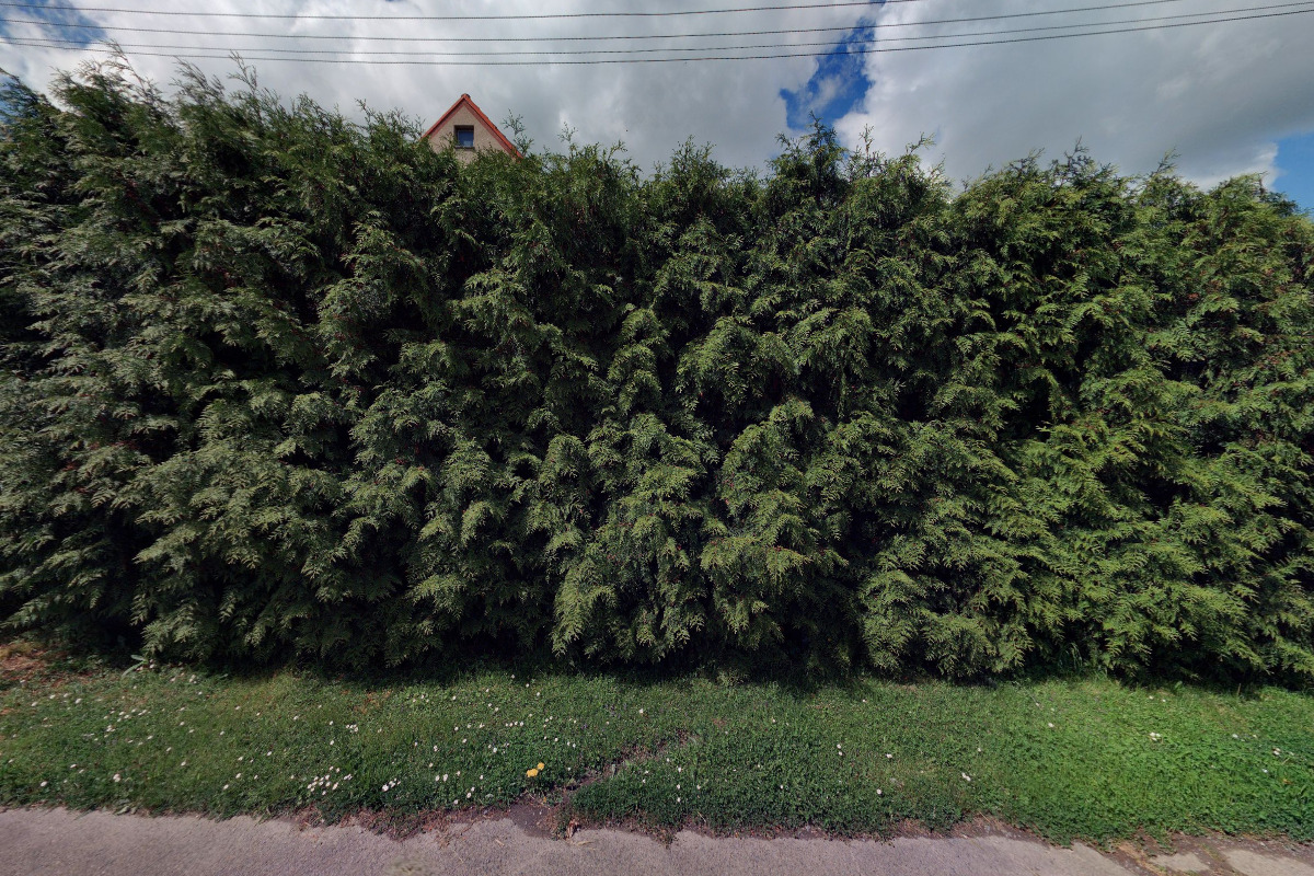 Daňový poradce ev. č. 4586 Ing. Ladislava Modlíková