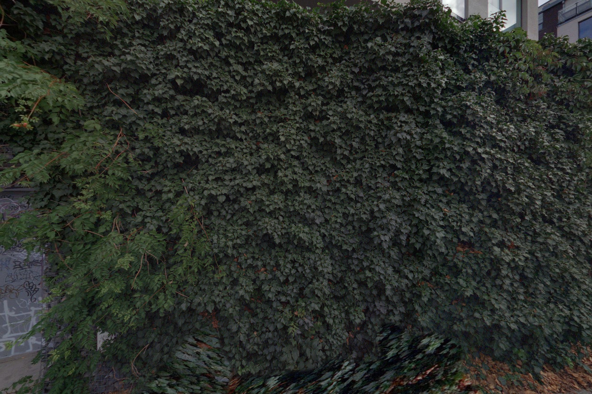 JUDr. Lucie Kadeřávková