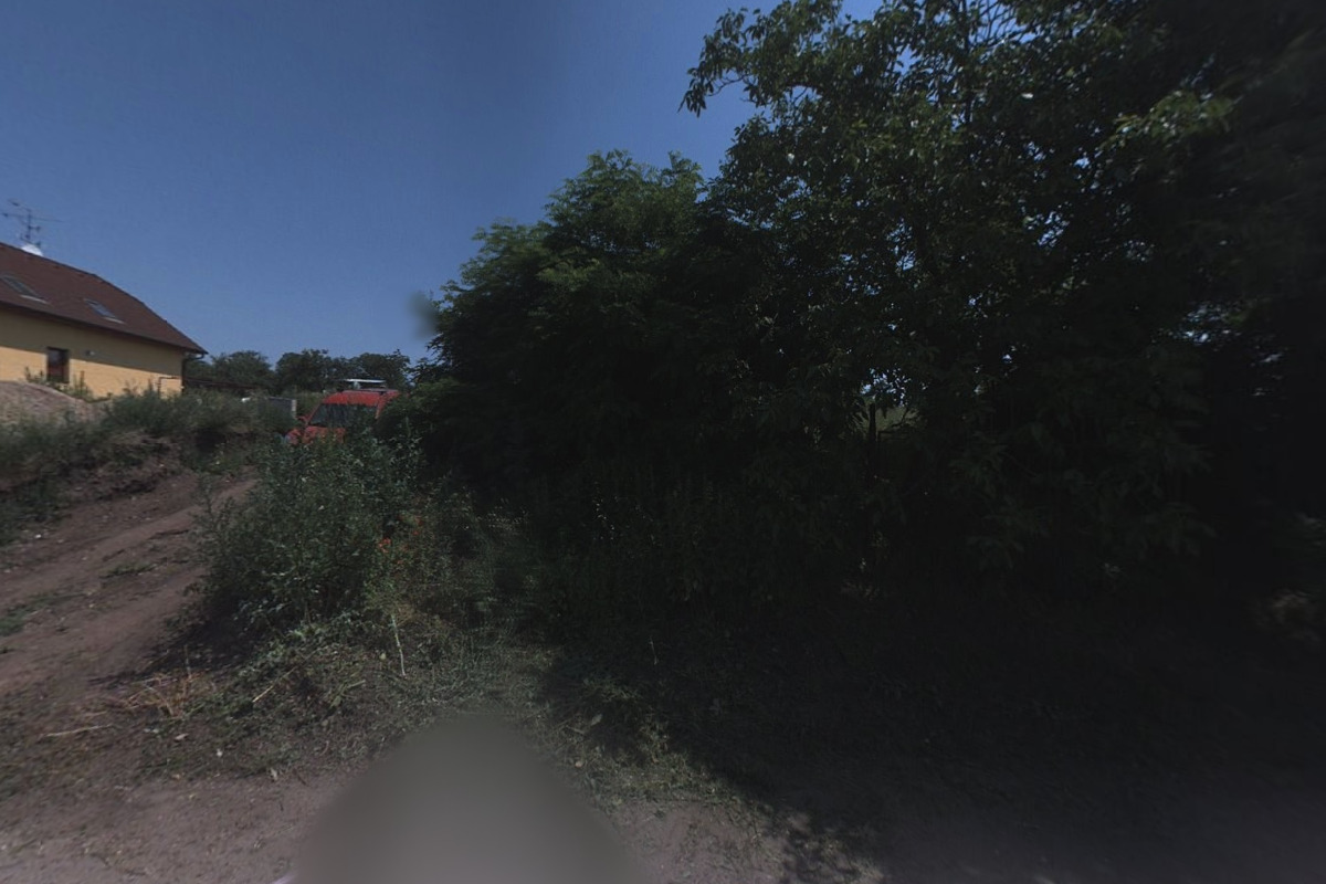 Hair by Sussanah Forest foto 1