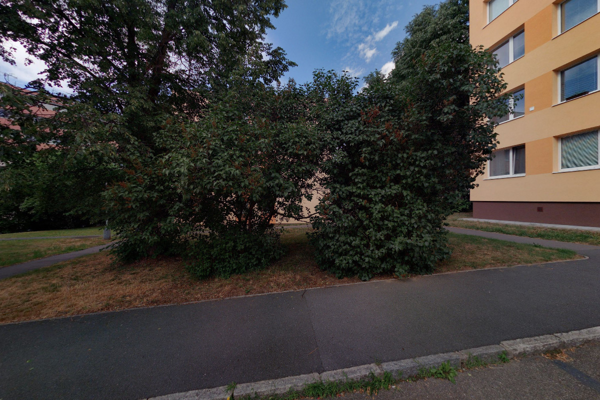 Daňový poradce ev. č. 4320 Ing. Dagmar Žižková foto 2