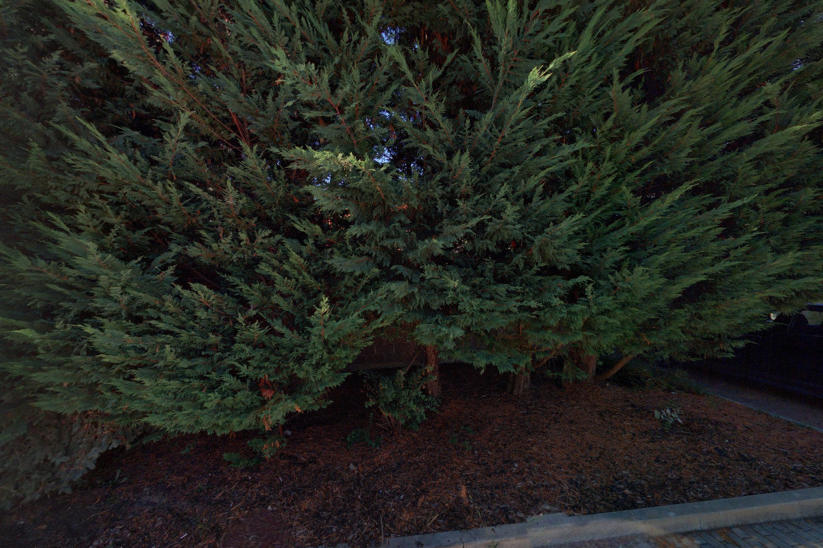 MUDr. Kateřina Kolková