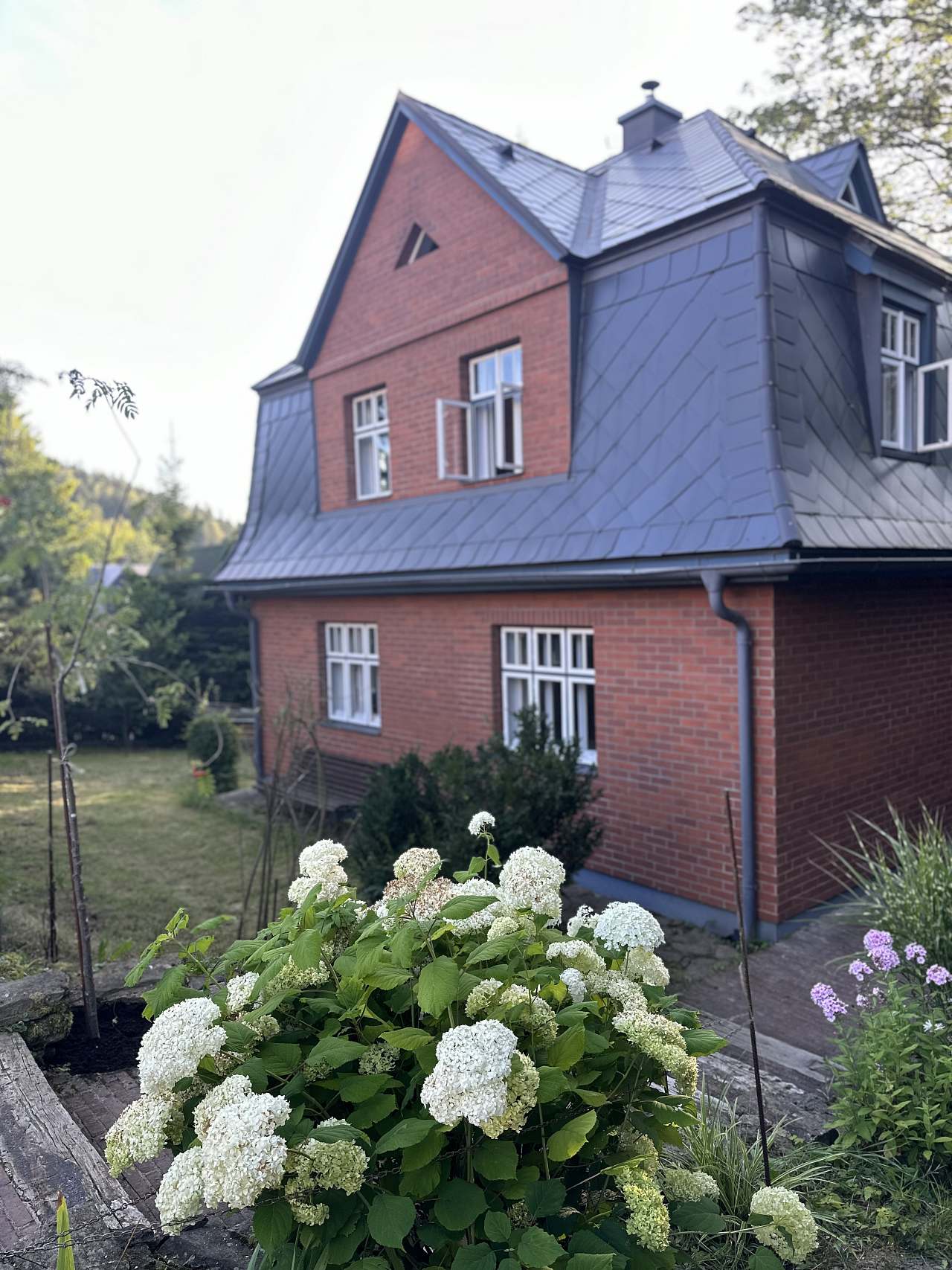 NA BŘEHU POTOKA foto 4