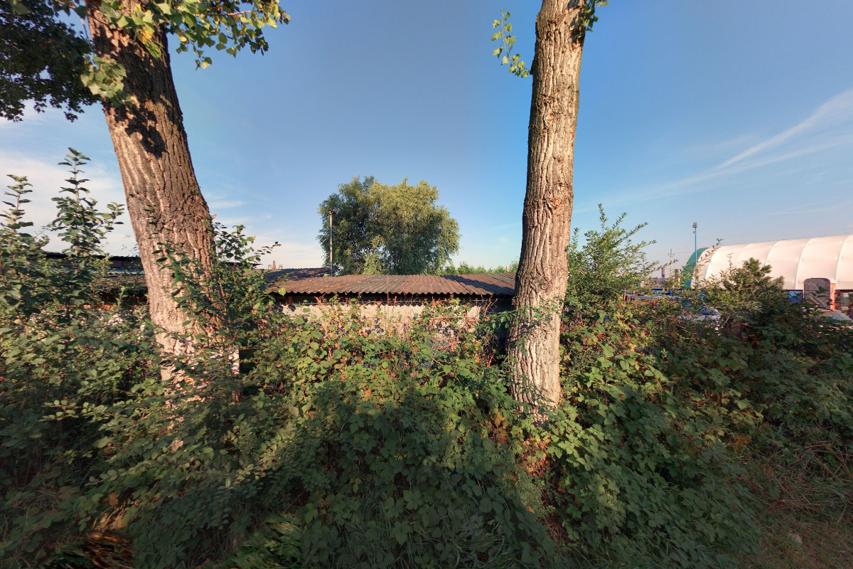 Staff-Spirit - Jiřina Forejtová