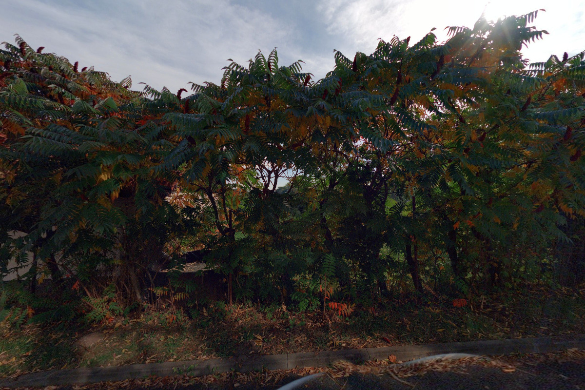 Spolek rodinněprávních a opatrovnických soudců