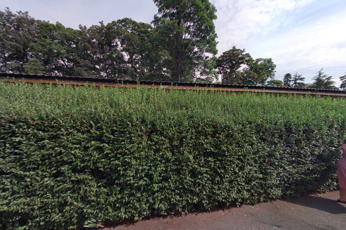 Venerologická poradna - Fakultní nemocnice Královské Vinohrady