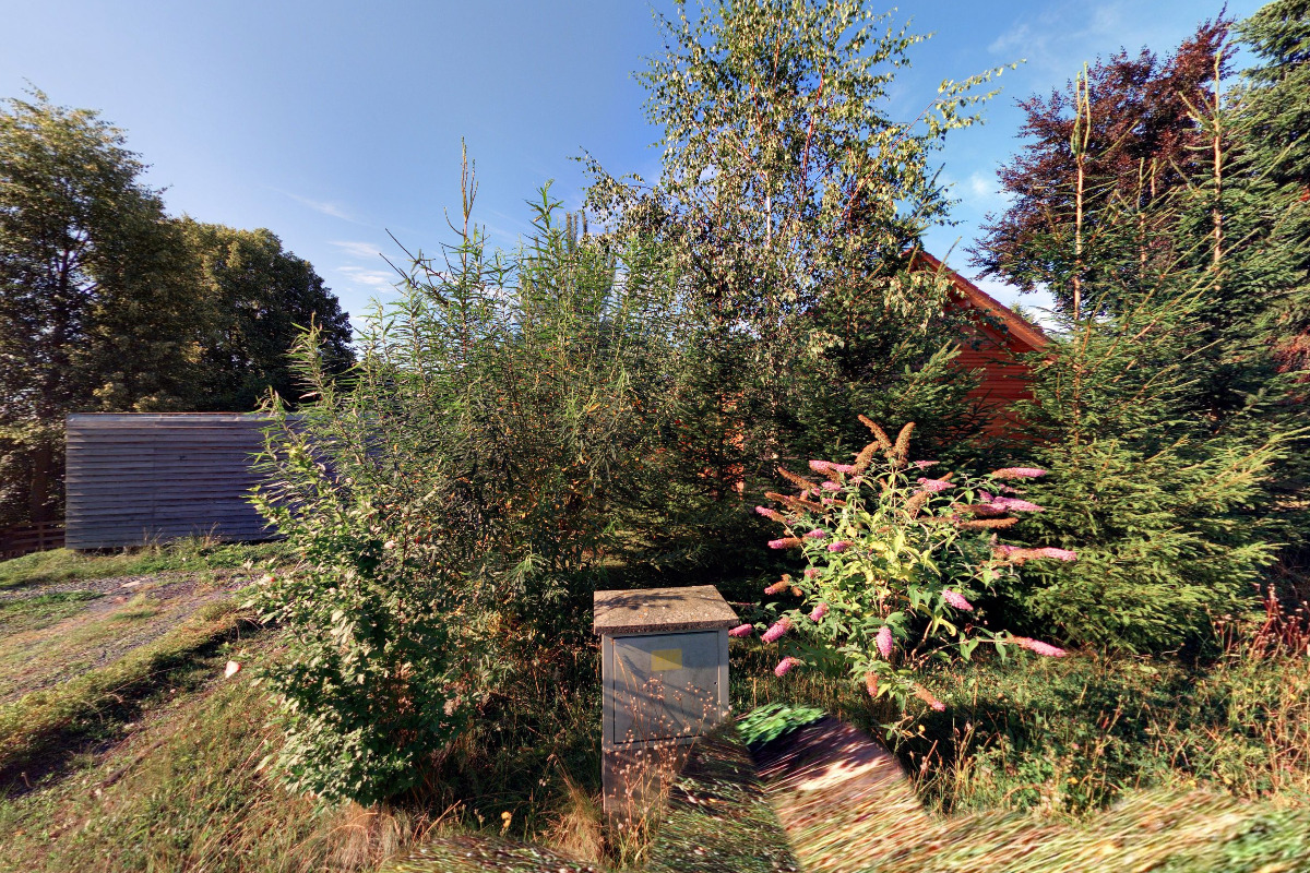 Stříhání ovcí - Martin Kopecký