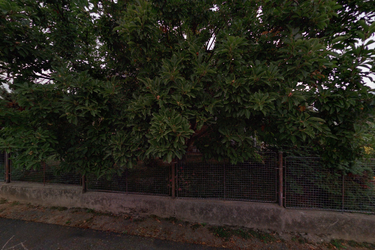 TBfoto - Tereza Brabcová foto 5