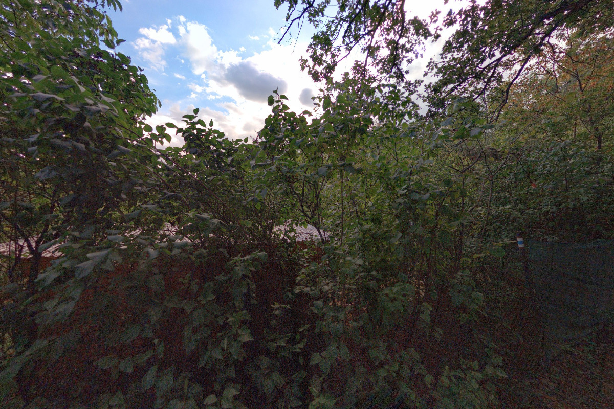 Lesní mateřská škola Šiška