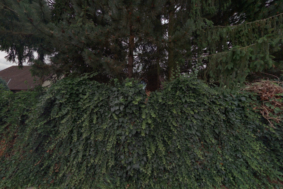 Ing. Alena Povolná - překlady