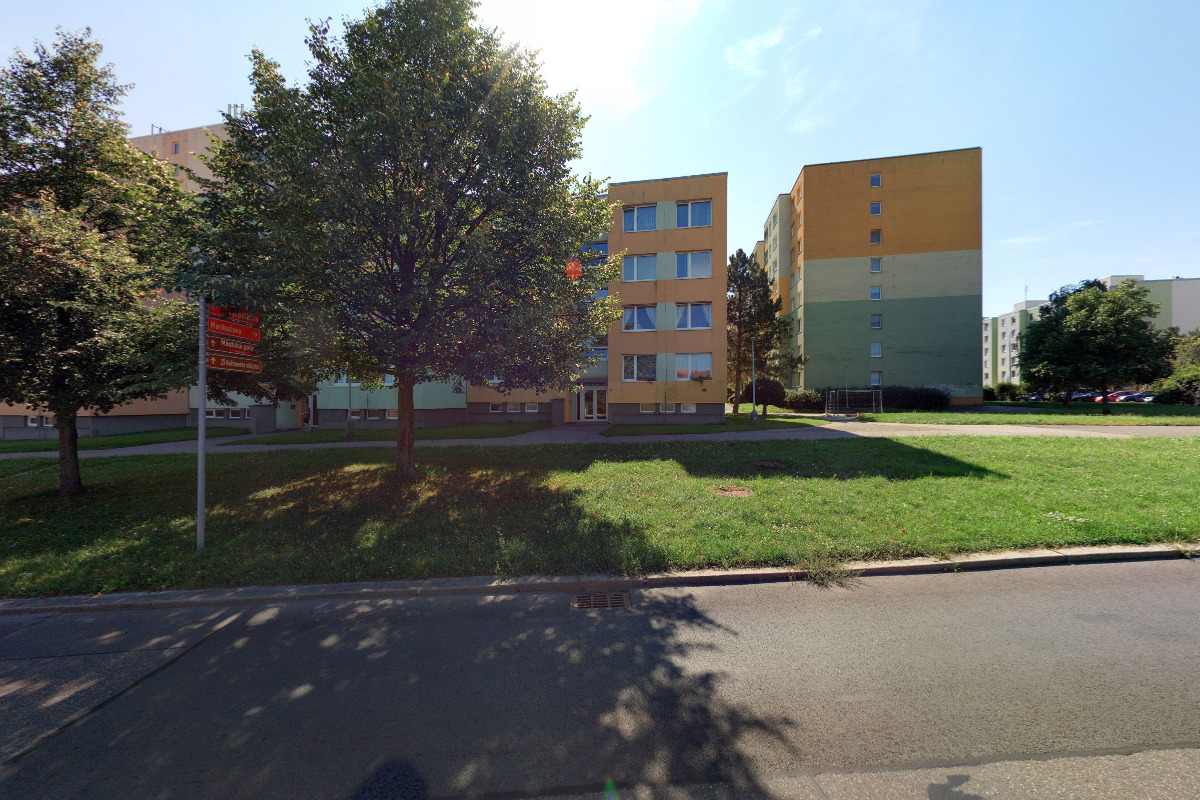 Daniela Models Group & Events