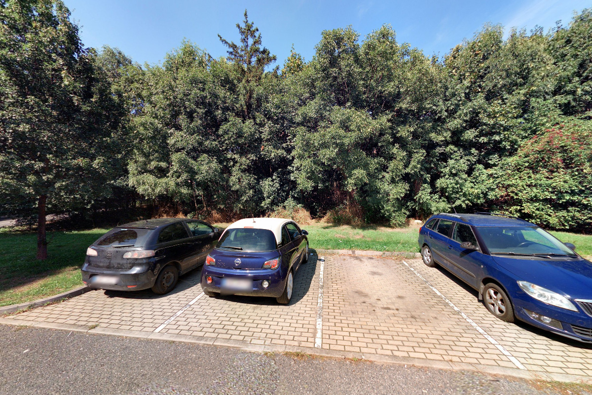 Z-BOX foto 2