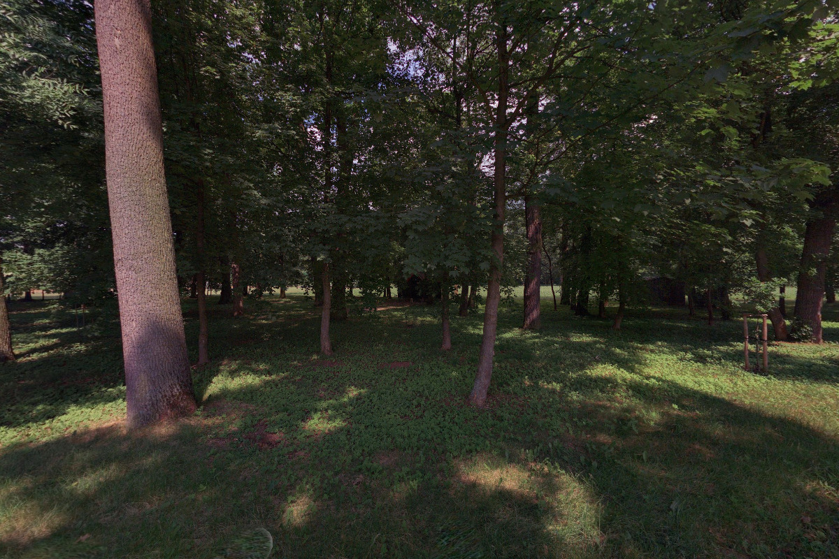 Junák - český skaut, středisko Žamberk, z. s. foto 3