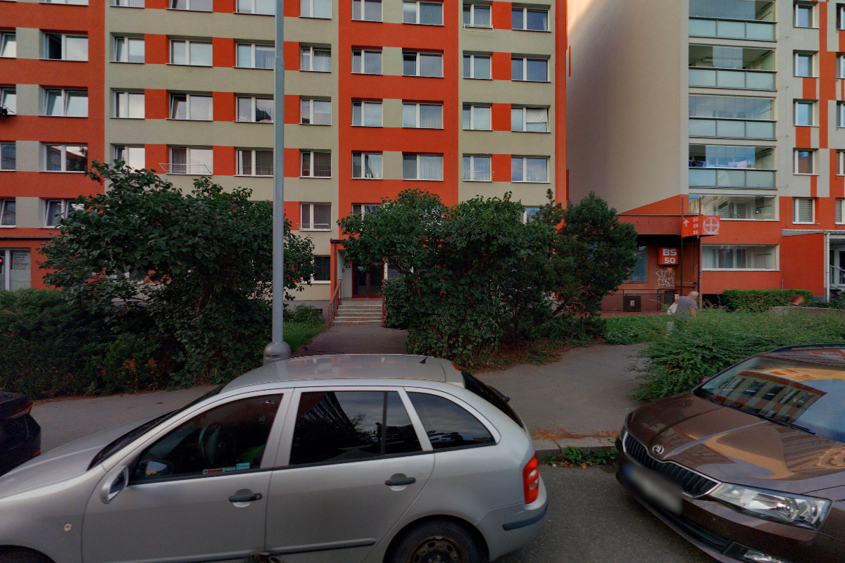 Ing. Libuše Punčochářová foto 2
