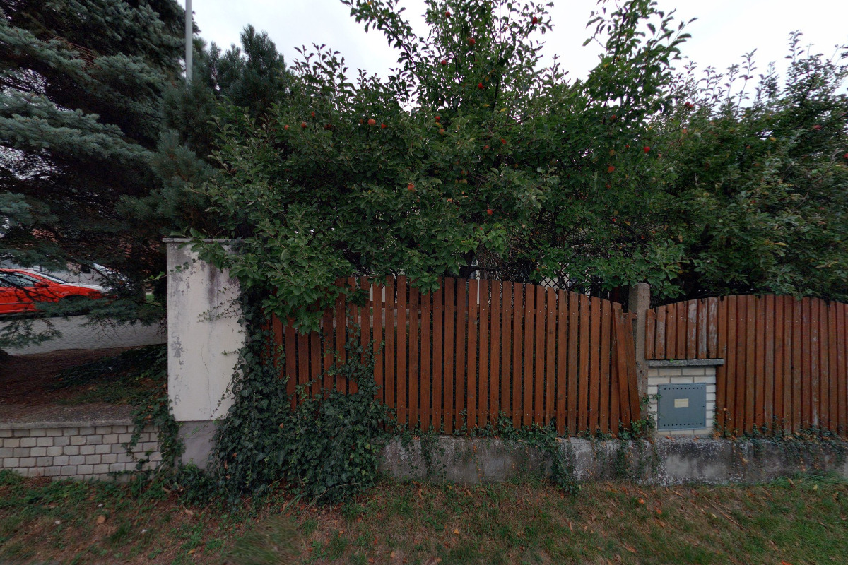 PaedDr. Iva Pelclová foto 2