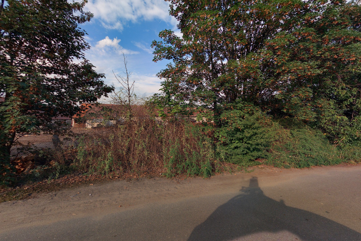 Kolínská lesní společnost, s.r.o. foto 2