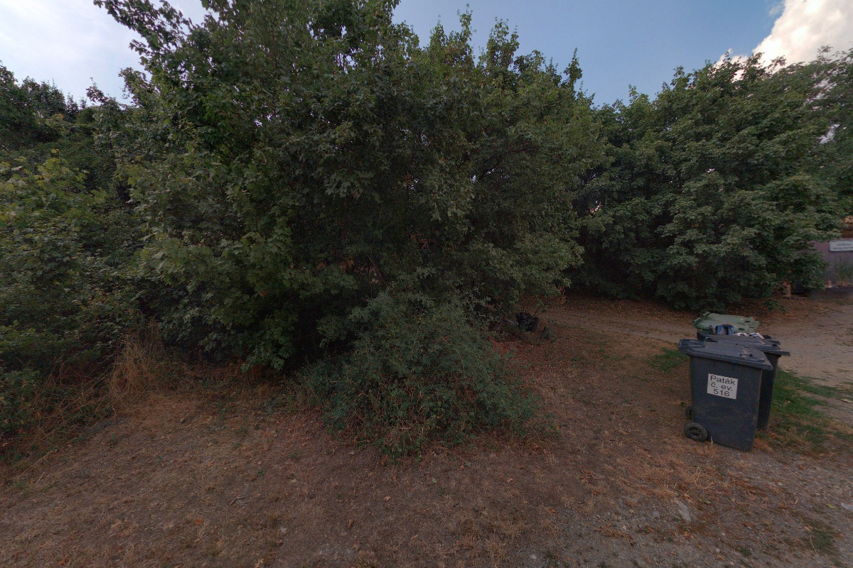 Miroslava Marcišinová - ServisProPsy foto 1