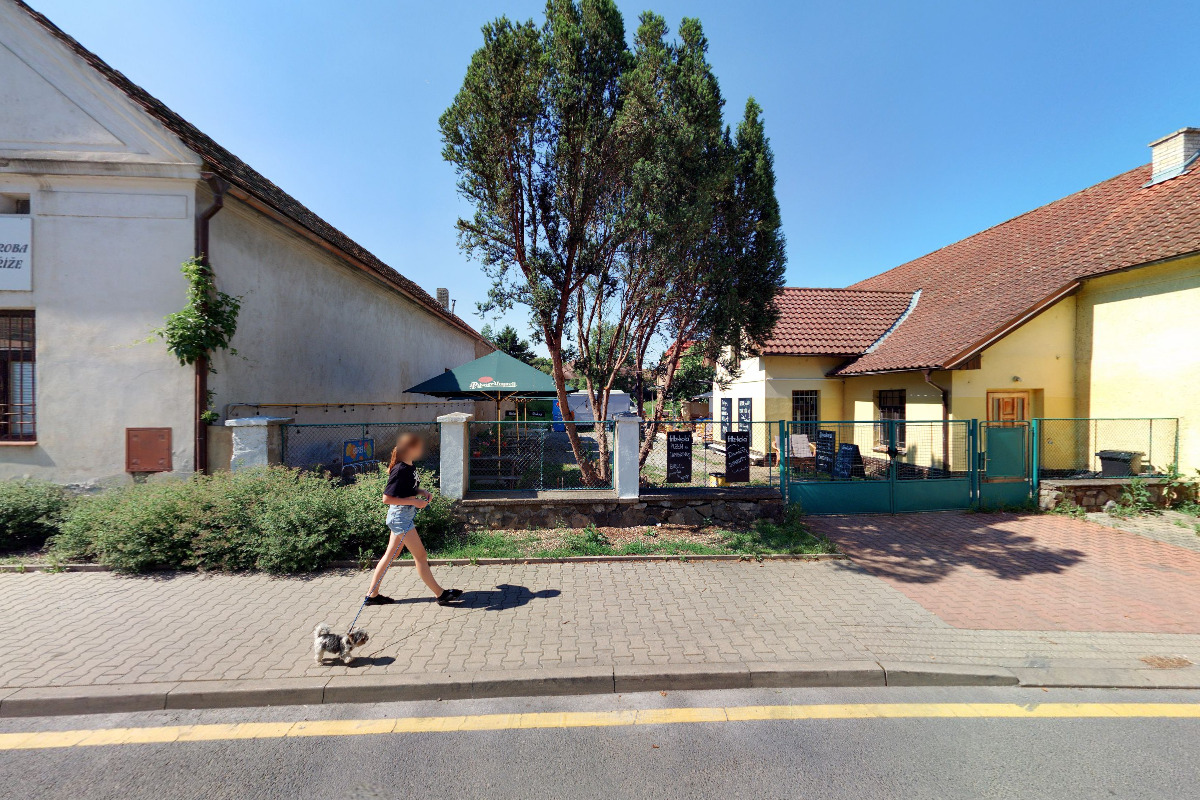 Bufík u mokrýho psa