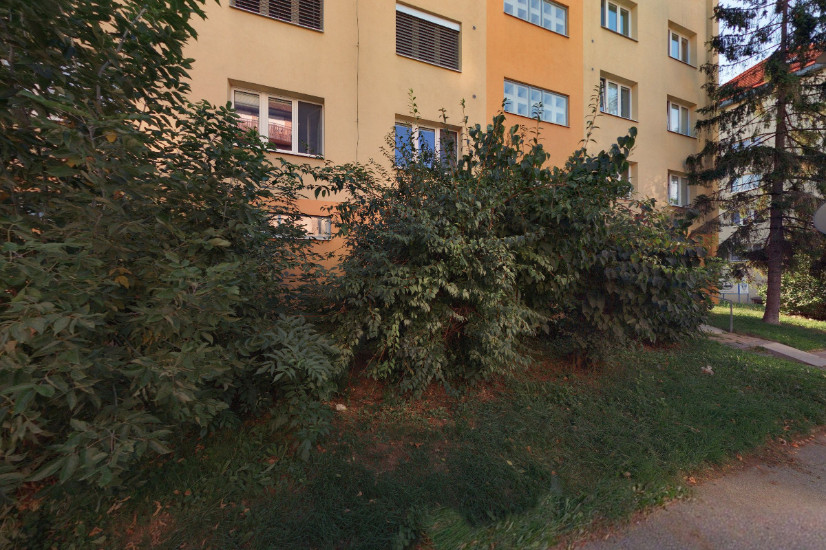 Zuzana Konvalinková