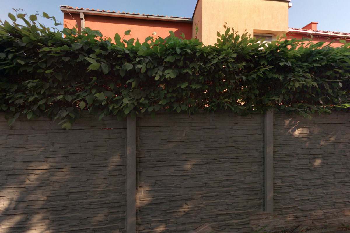 Salon Orchidea Kosmetické služby foto 2