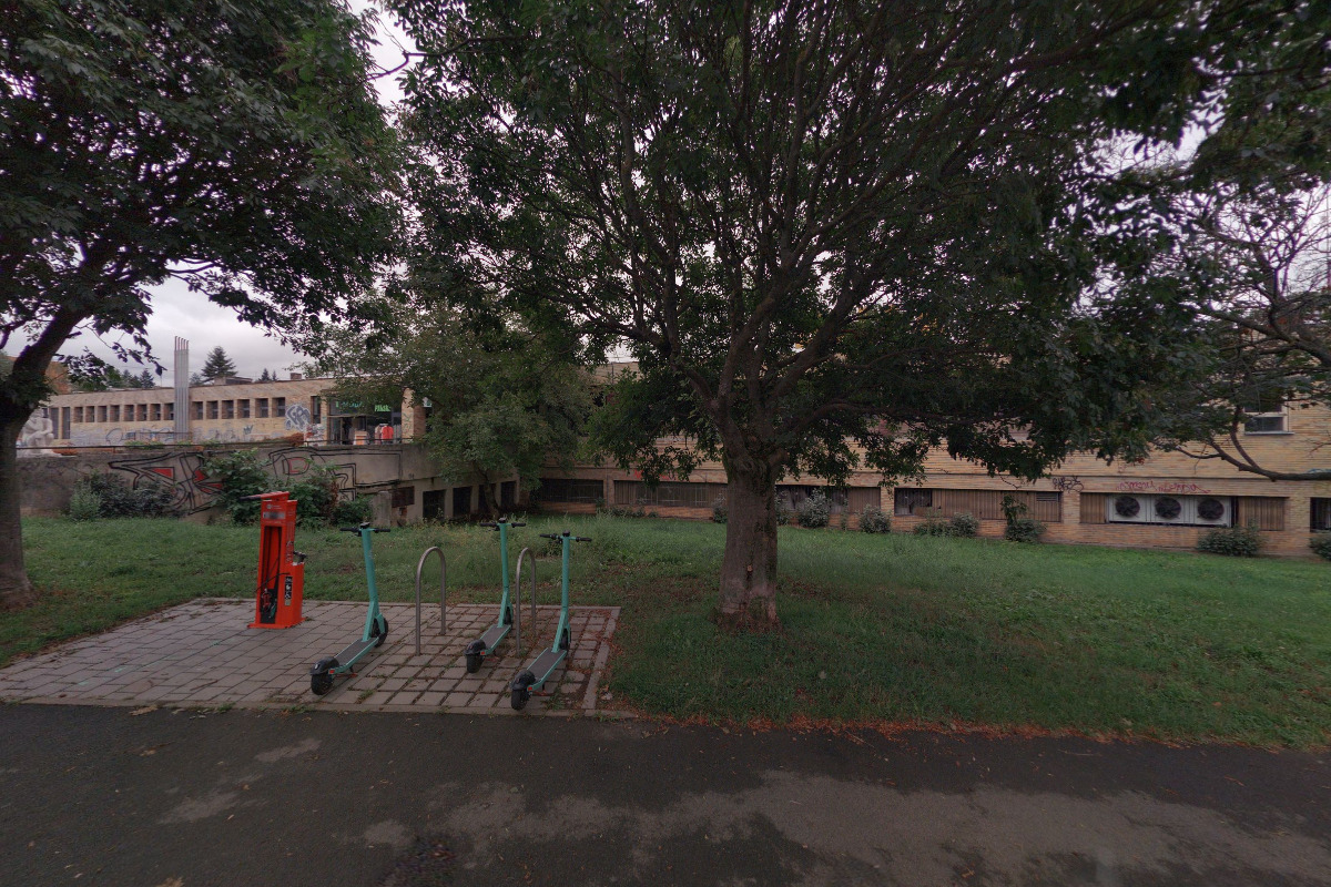 Chmelová šiška foto 1