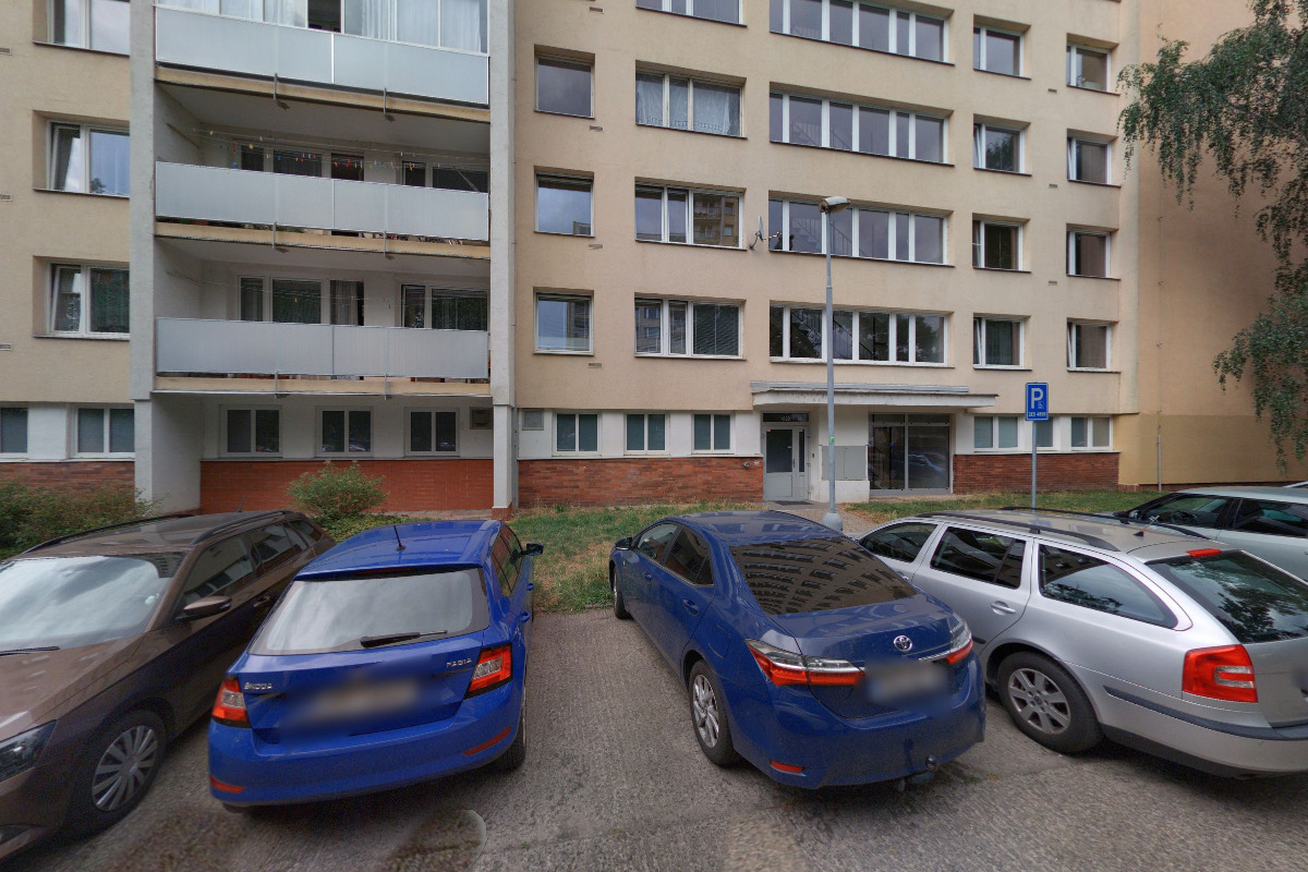 Veronika Svobodová - Hodinový manžel