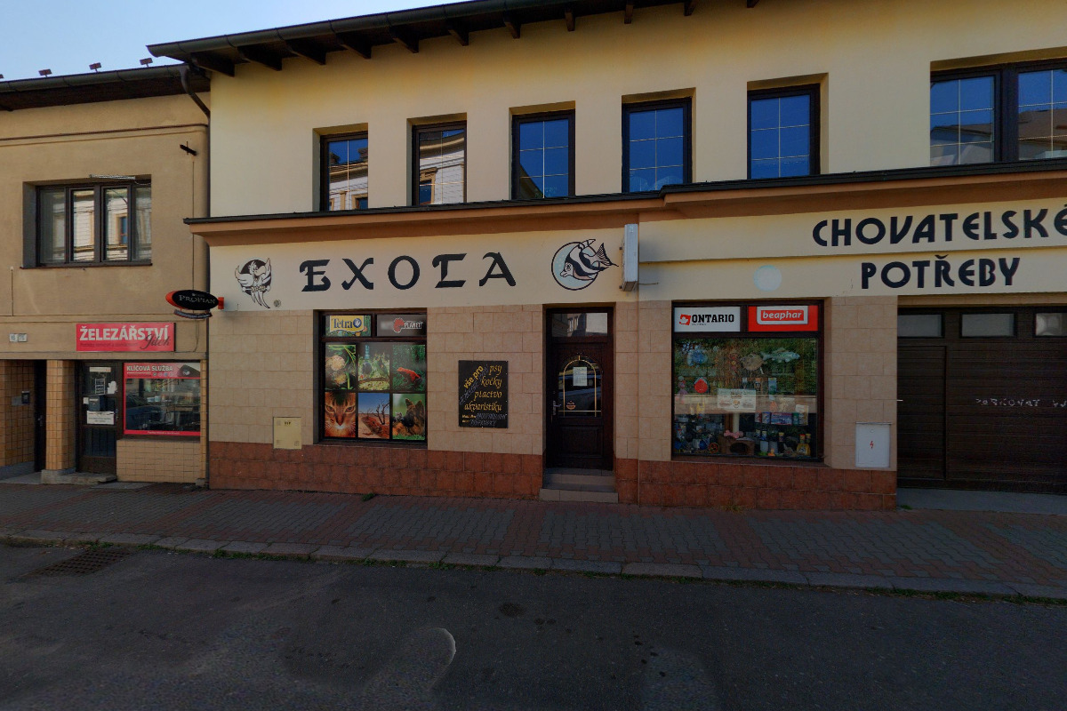 EXOTA foto 2