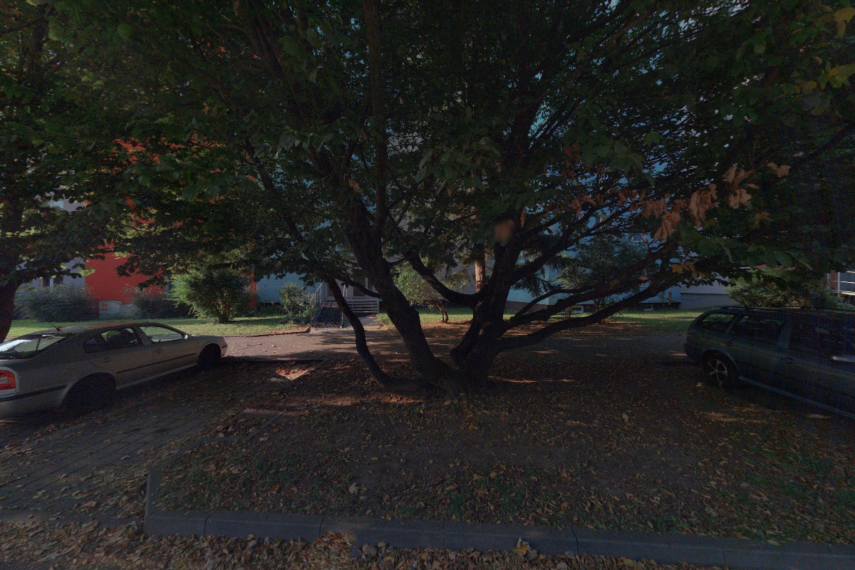 Mgr. Zdeněk Nový, Ph.D., advokát