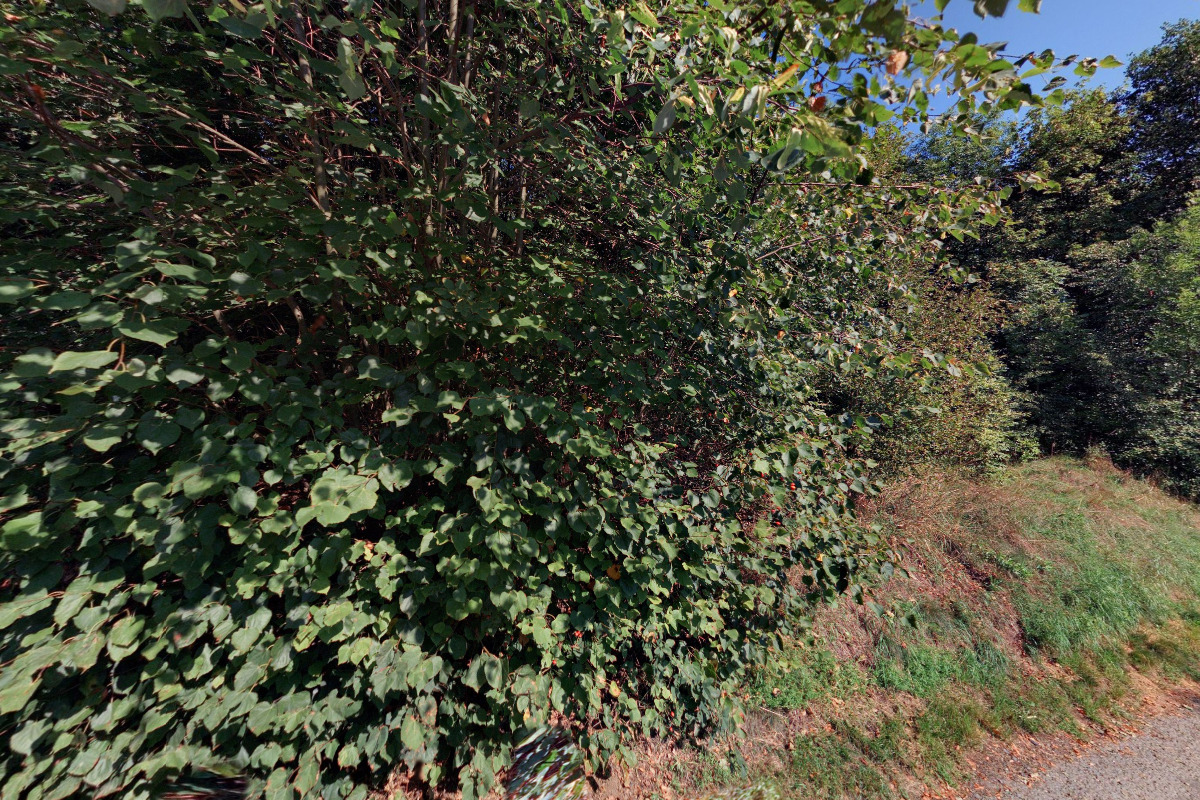 Roman Million Wood, s.r.o.