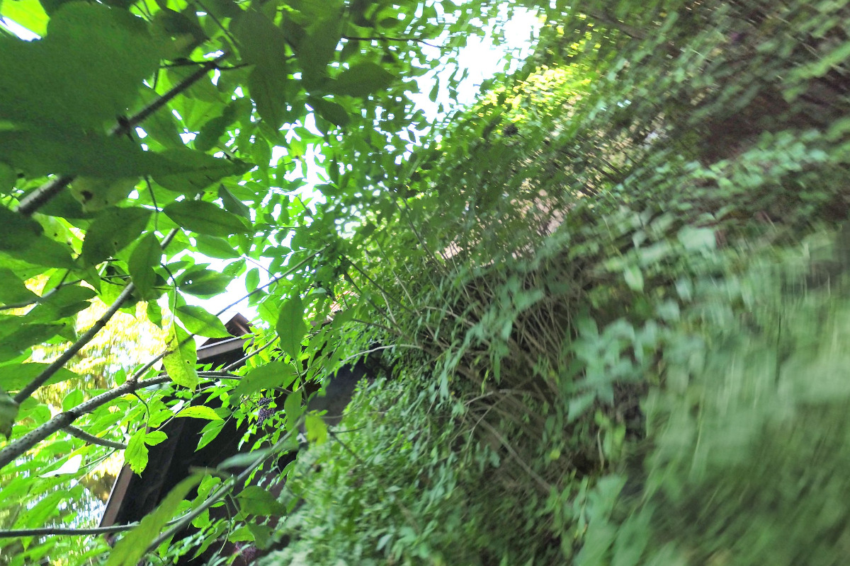 ZČ HB Modrý kámen