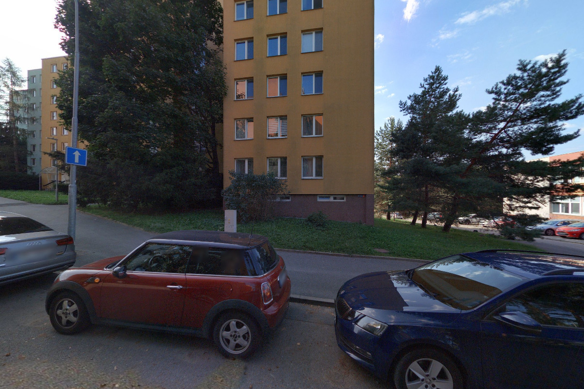 Rodokmeny - Miroslava Zemanová