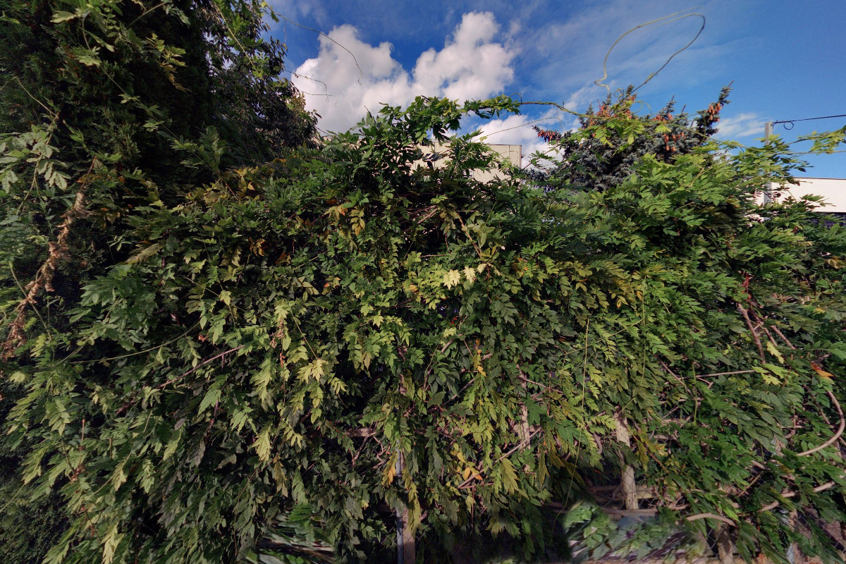 EMEDAT s.r.o. foto 1