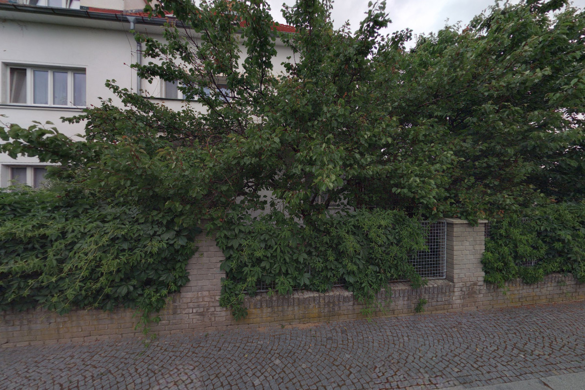 Český svaz chovatelů, z.s., Specializovaná organizace ušlechtilé kočky - 1. OK Praha