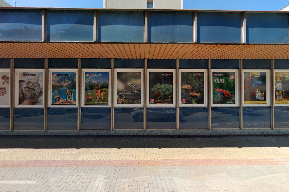 MVDr .Pavel Jaddrníček - soukromý veterinární lékař foto 2