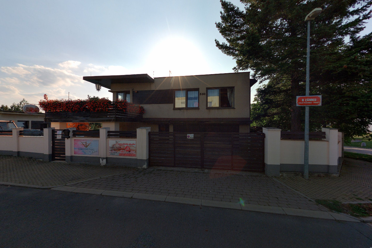 Kineziologie  Milada Janečková