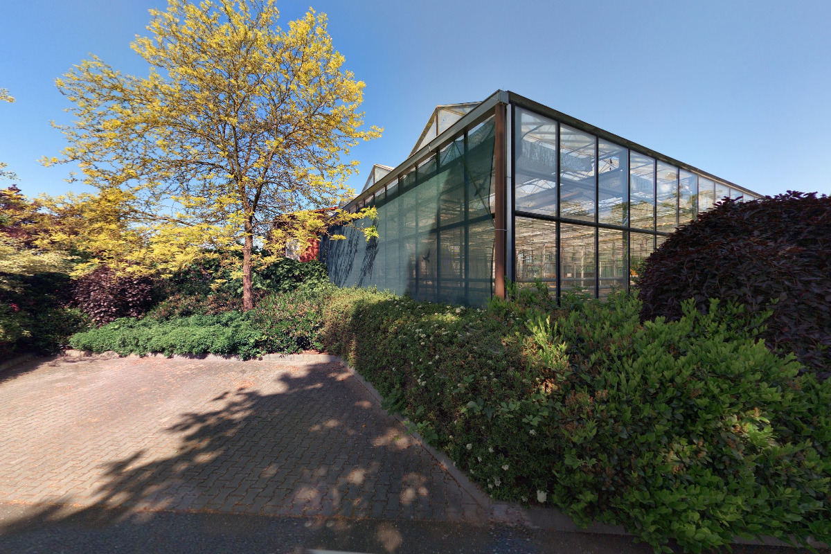 Lesy ČZU - Středisko okrasných a lesních školek foto 4