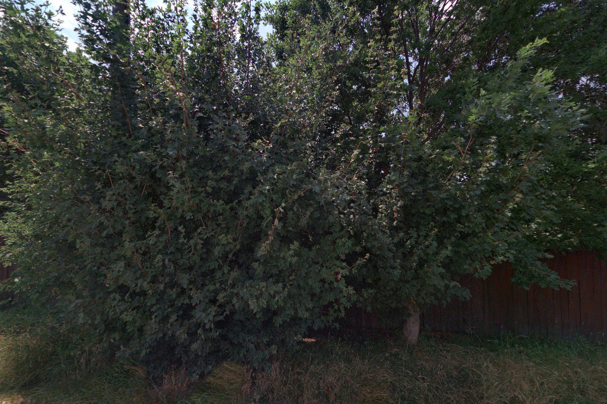 HORTISCENTRUM, s.r.o. foto 5