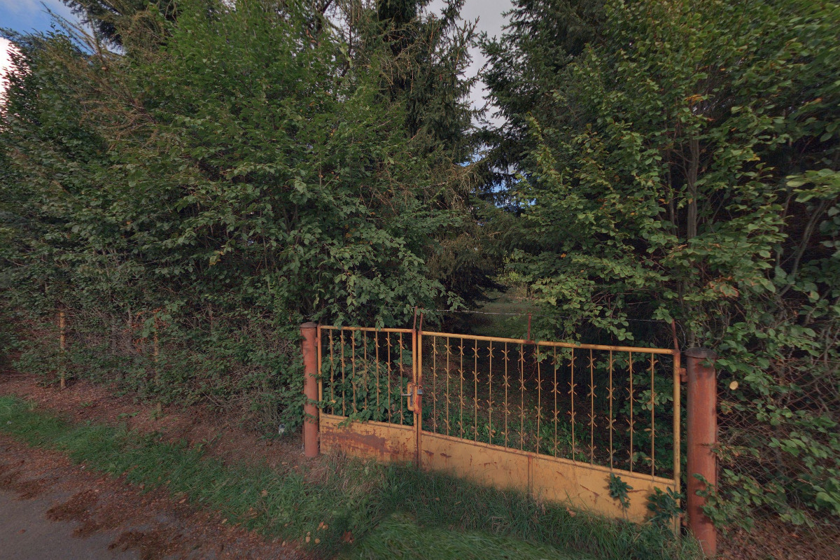 Lesní školka JSEM LESEM