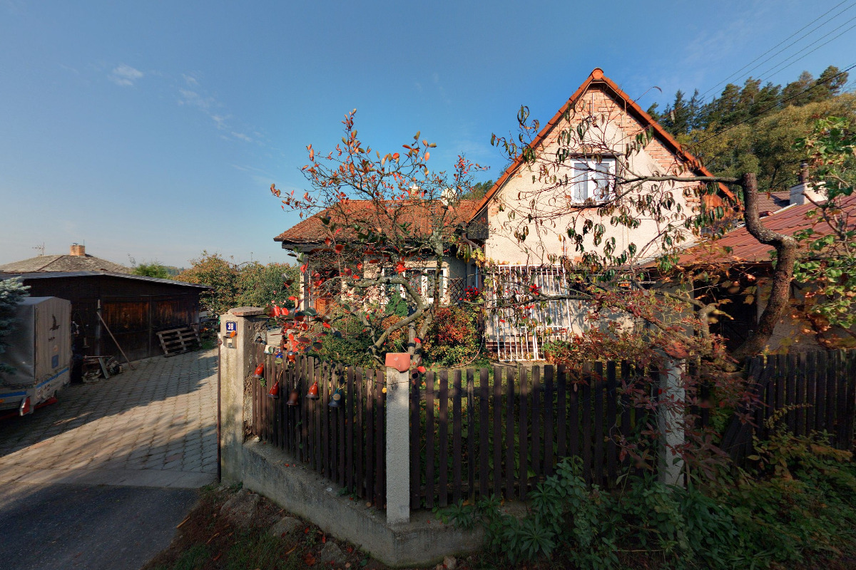 Chicken video production