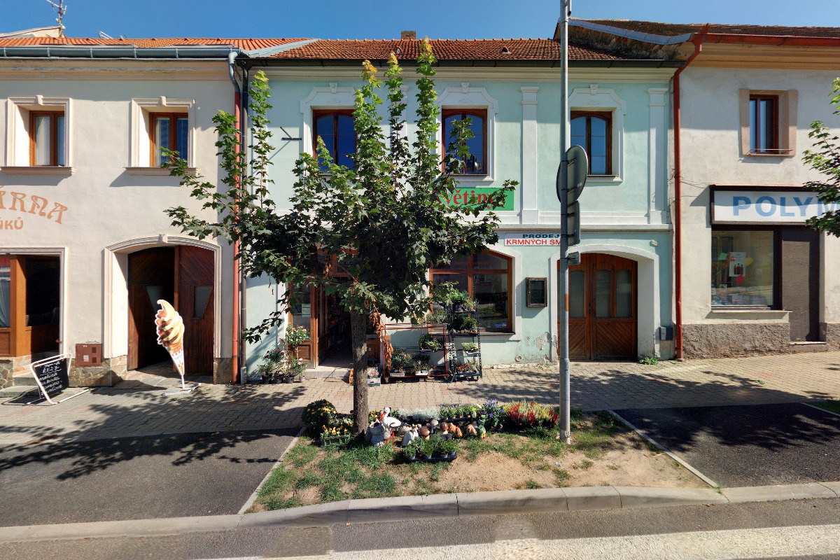 Květiny Irena Novotná foto 2