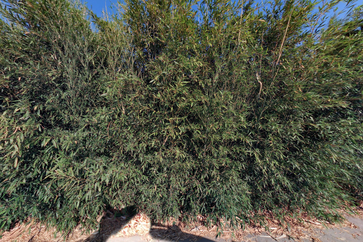 Občerstvení Pod Lanovkou foto 4