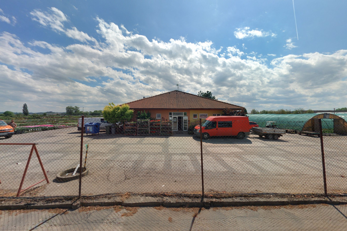 Školky Montano - velkoobchod foto 3