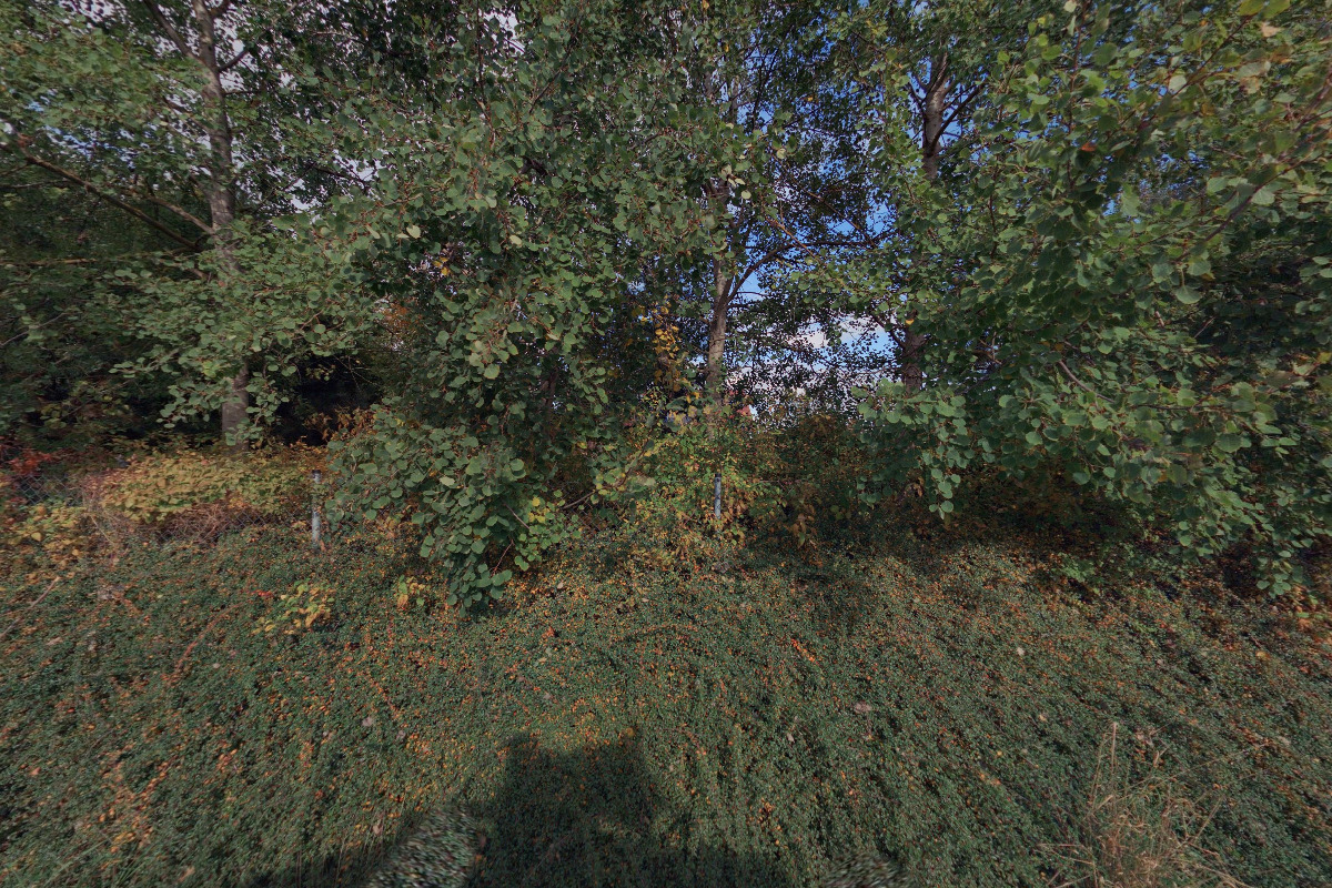 Daňový poradce ev. č. 0542 Ing. Alena Doležalová foto 2