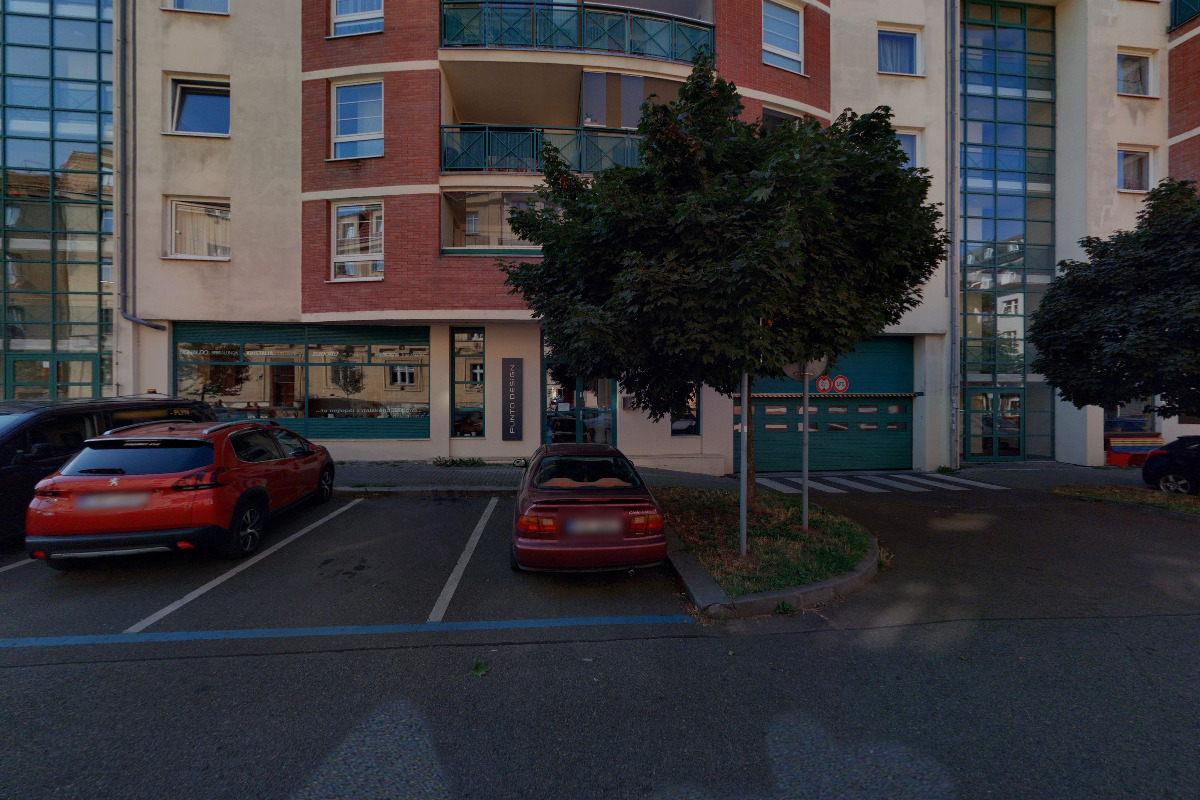 Česká federace freestyle disku foto 2