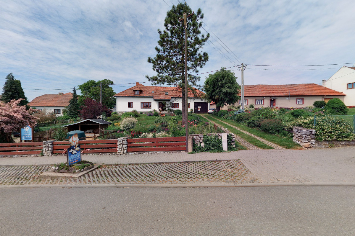 Eva Sedláková -  Farma dojných a kašmírských koz foto 3